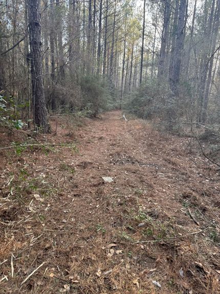 Property for sale in Greene County, Mississippi