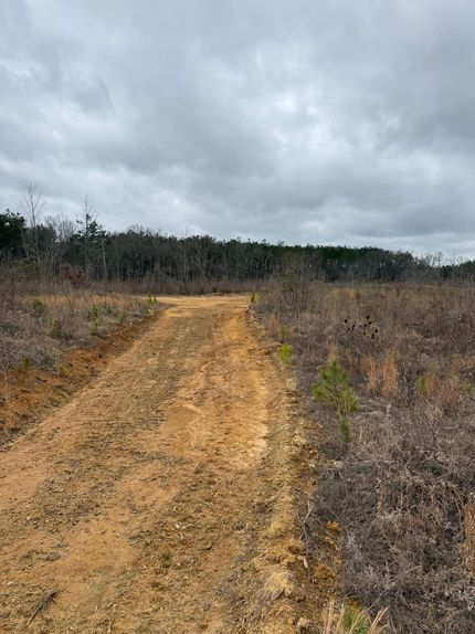 Hunting Land for sale in Webster County, Mississippi