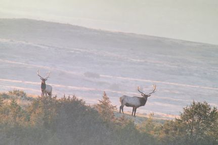 Property for sale in Prairie County, Montana