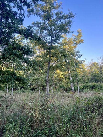 Undeveloped Land for sale in Miller County, Missouri