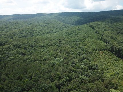 Property for sale in Floyd County, Georgia