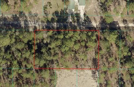 Undeveloped Land for sale in Marion County, Florida