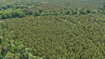 Property for sale in Smith County, Mississippi