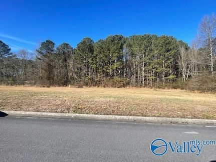 Property for sale in Marshall County, Alabama