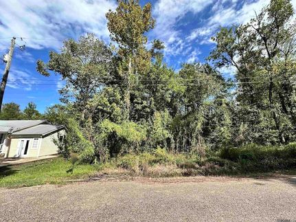 Waterfront Property for sale in Ascension Parish, Louisiana