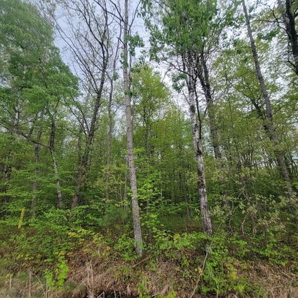 Property for sale in Burnett County, Wisconsin