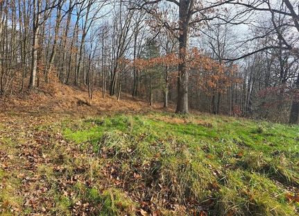 Undeveloped Land for sale in Armstrong County, Pennsylvania