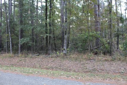 Property for sale in Sabine County, Texas