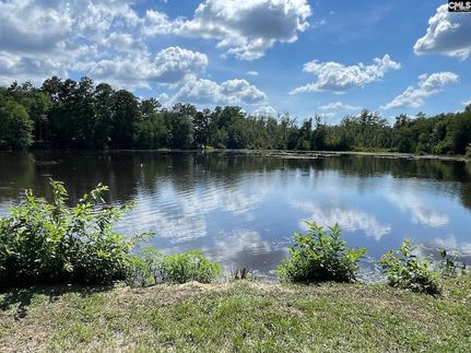 Property for sale in Lexington County, South Carolina