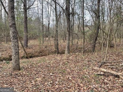 Property for sale in Barrow County, Georgia