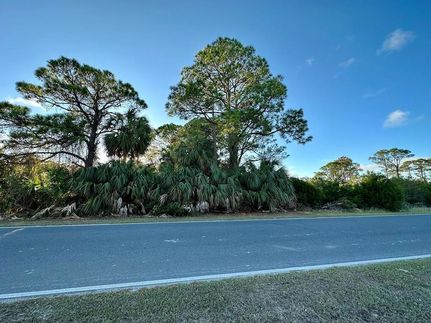 Property for sale in Levy County, Florida