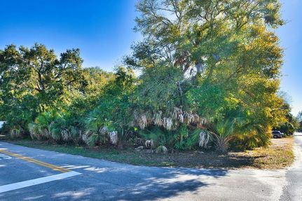 Undeveloped Land for sale in Franklin County, Florida
