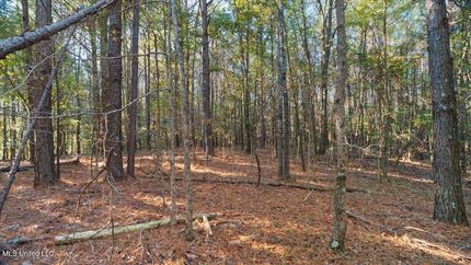 Property for sale in Scott County, Mississippi