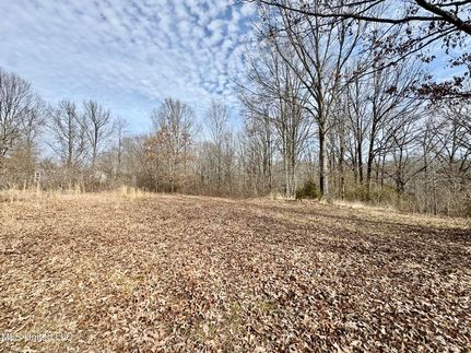 Property for sale in Tate County, Mississippi