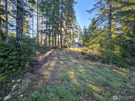 Property for sale in Mason County, Washington