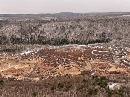 Undeveloped Land for sale in Tioga County, New York