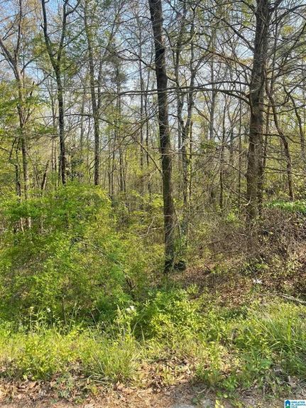 Property for sale in Cleburne County, Alabama