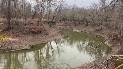 Hunting Land for sale in Red River County, Texas