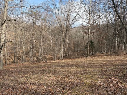Hunting Land for sale in Hardy County, West Virginia