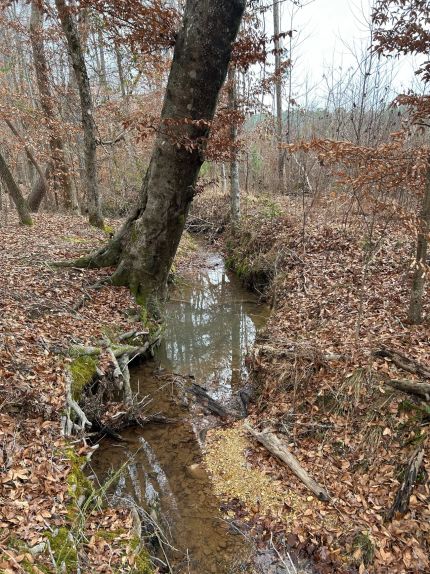 Property for sale in Tishomingo County, Mississippi