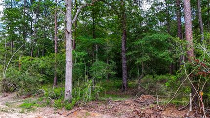 Recreational Property for sale in Angelina County, Texas
