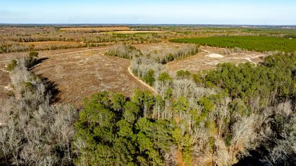Timberland Property for sale in Randolph County, Georgia