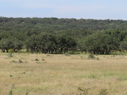 Property for sale in Menard County, Texas