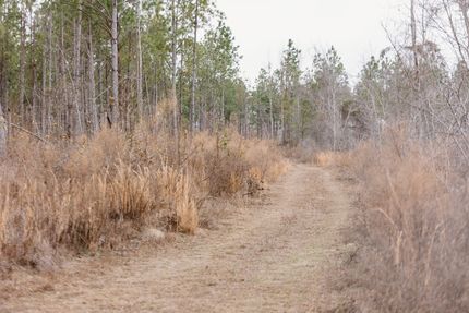 Property for sale in Burke County, Georgia