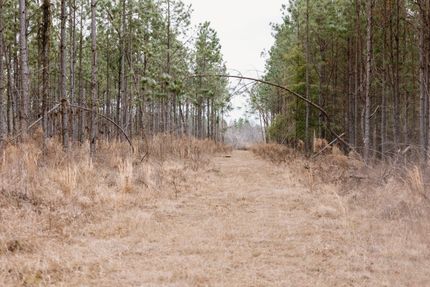 Property for sale in Burke County, Georgia