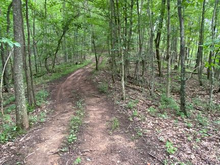 Hunting Land for sale in Roane County, West Virginia