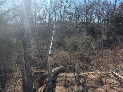 Property for sale in Elk County, Kansas