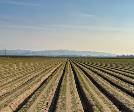 Property for sale in Kern County, California