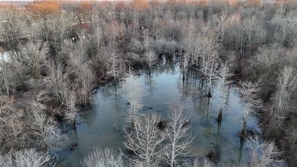 Property for sale in Jefferson County, Arkansas