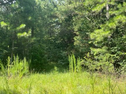 Hunting Land for sale in Jasper County, Mississippi
