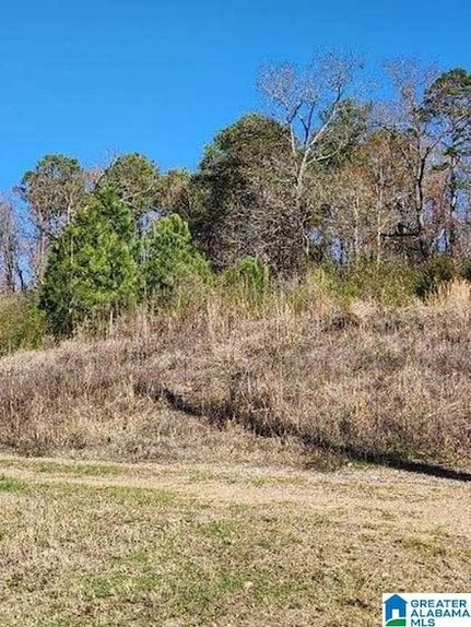 Property for sale in Shelby County, Alabama