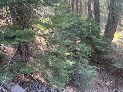 Property for sale in Modoc County, California