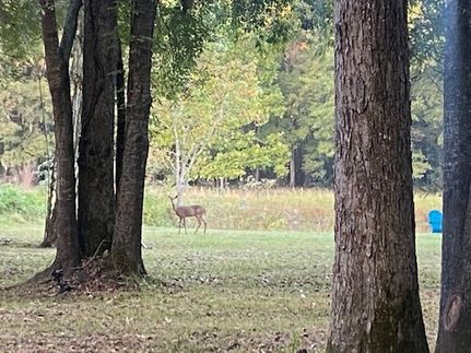 Property for sale in Runnels County, Texas