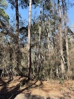 Property for sale in Liberty County, Georgia