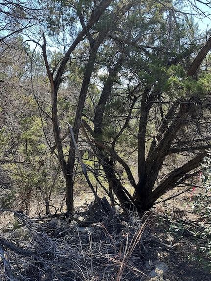 Property for sale in Travis County, Texas