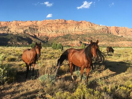 Property for sale in Washington County, Utah