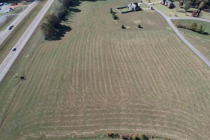 Undeveloped Land for sale in Henry County, Tennessee
