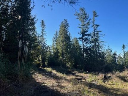 Undeveloped Land for sale in Humboldt County, California