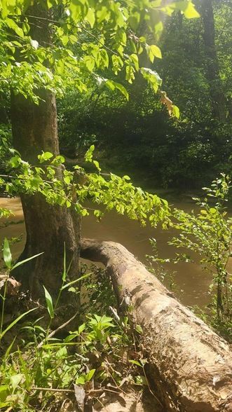 Undeveloped Land for sale in Pittsylvania County, Virginia