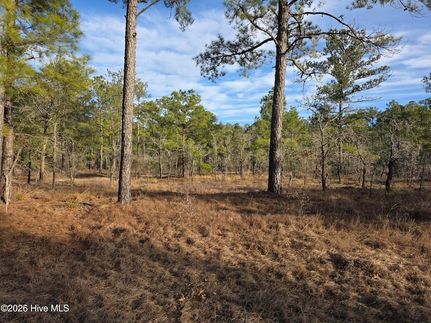Property for sale in Pender County, North Carolina