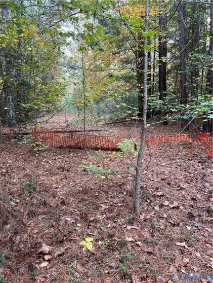 Undeveloped Land for sale in New Kent County, Virginia