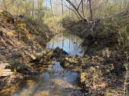 Timberland Property for sale in Lincoln County, Georgia