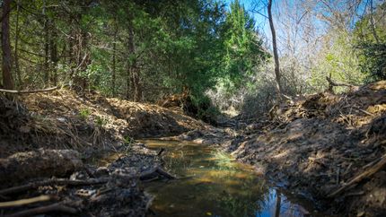 Ranch Property for sale in Milam County, Texas