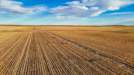 Hunting Land for sale in Yuma County, Colorado