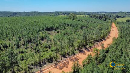 Property for sale in Taylor County, Georgia