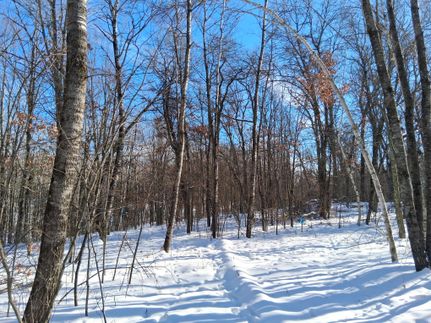 Property for sale in Washburn County, Wisconsin